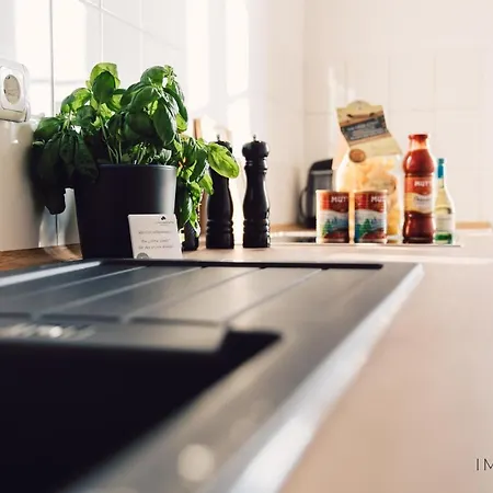 Cozy Im Zentrum Mit Netflix We91 * Magdeburg