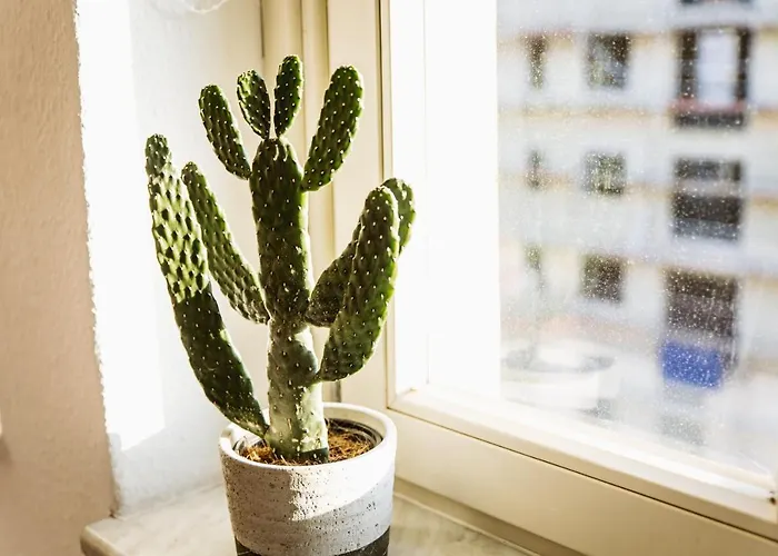 Comfort Im Zentrum 91 マクデブルク