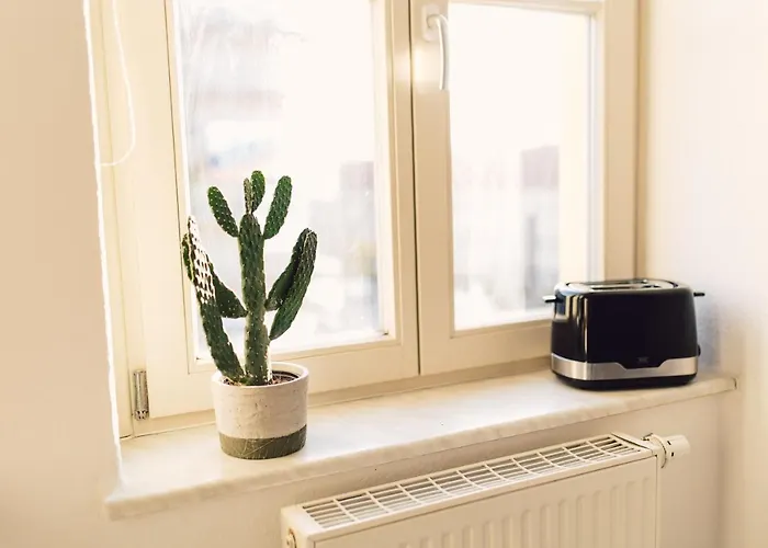 Comfort Im Zentrum 91 *