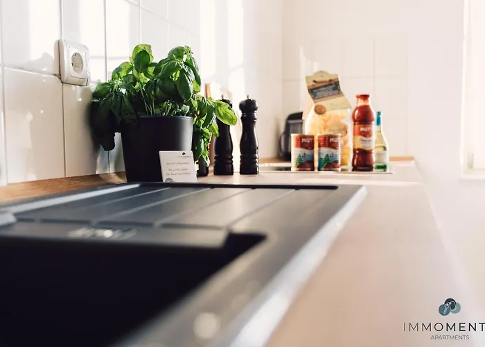 Comfort Im Zentrum 91 * マクデブルク